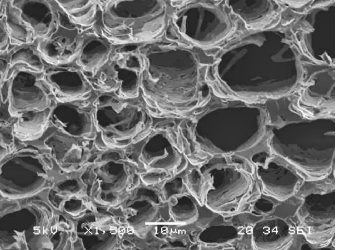 Scanning electron micrograph of magnetic biochar produced from anaerobic digestion residues